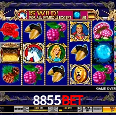 Descubra o Mundo do Cassino Online com 8855bet